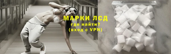 кокс Инта