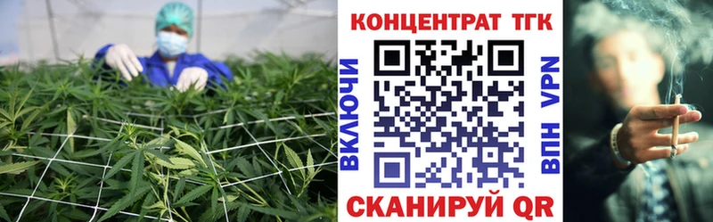 цена   Корсаков  ТГК Wax 