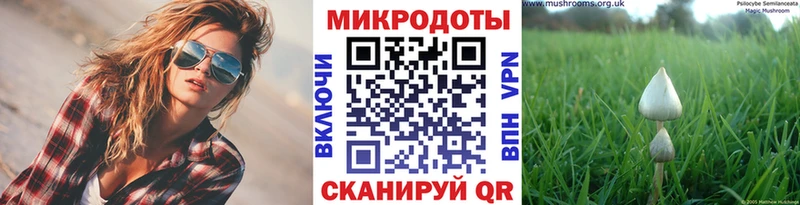 купить наркоту  Корсаков  mega зеркало  Галлюциногенные грибы MAGIC MUSHROOMS 